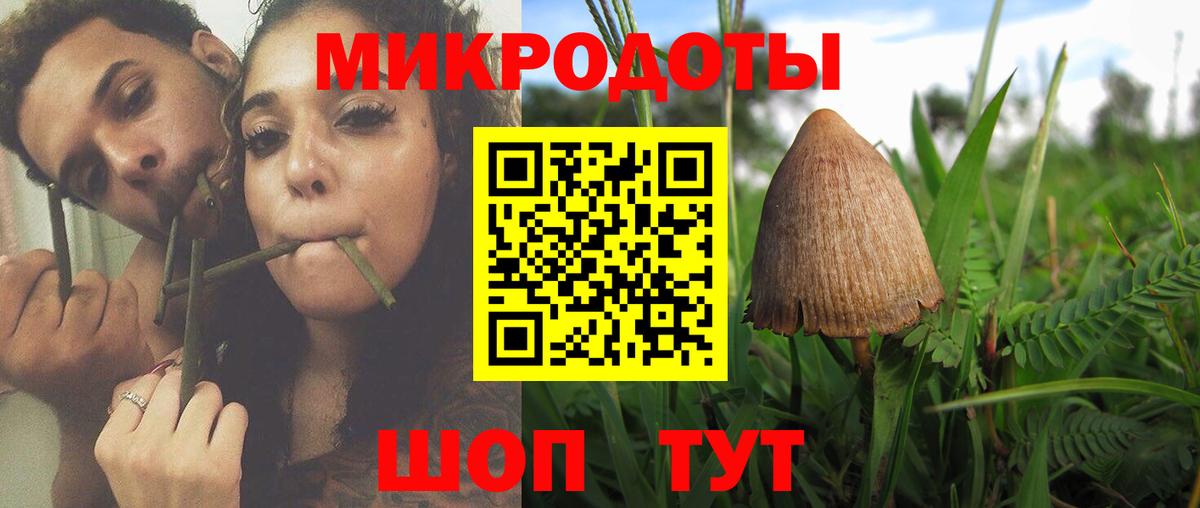 Галлюциногенные грибы Cubensis  Вход с VPN  Калач-на-Дону 